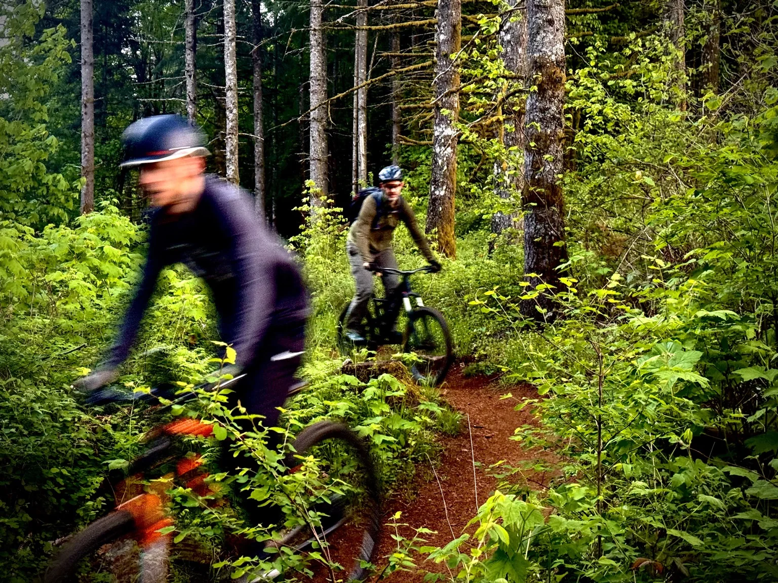 Mountain bikers riding forest singletrack